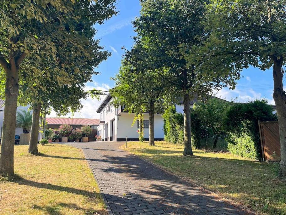 Apartment 100 Qm Im Weindorf - Balkon/Garage Aspisheim Luaran gambar
