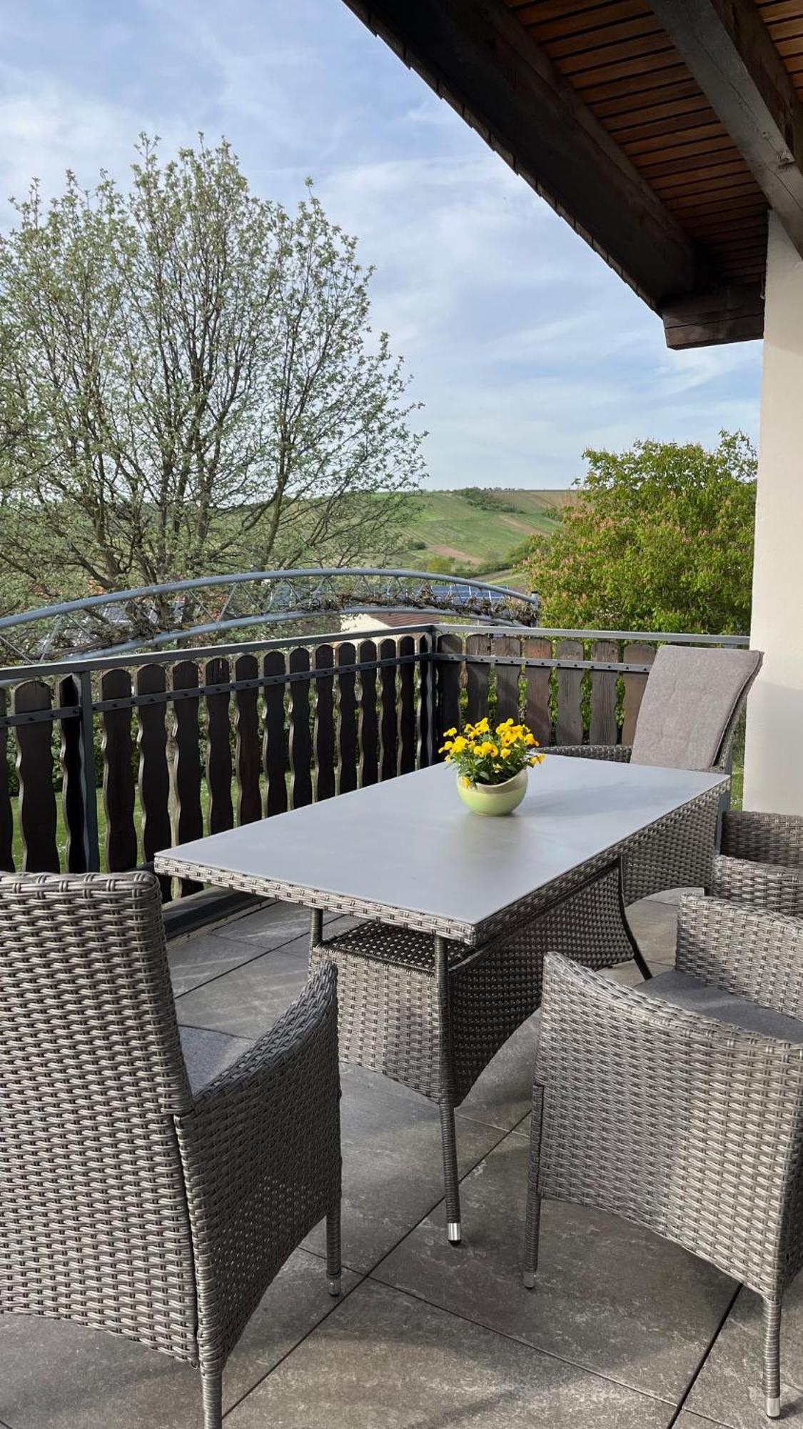 Apartment 100 Qm Im Weindorf - Balkon/Garage Aspisheim Luaran gambar